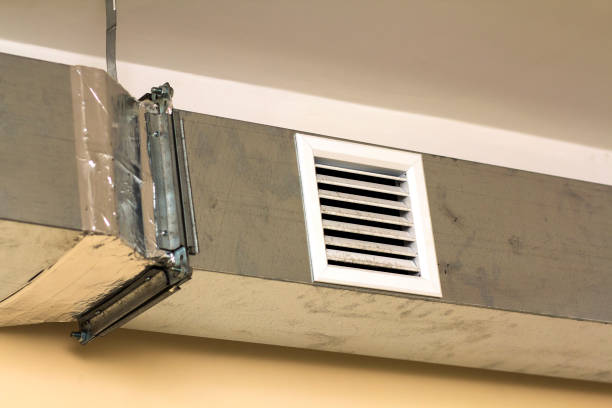 Air Duct Mold Removal in West Mountain, UT